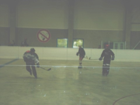 http://www.ratisbona-bullfrogs.de/pixlie/cache/vs_2002_06_15%20-%20Spiel%20gegen%20Hockey%20Monkeys_img02.jpg