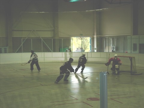 http://www.ratisbona-bullfrogs.de/pixlie/cache/vs_2002_06_15%20-%20Spiel%20gegen%20Hockey%20Monkeys_img04.jpg