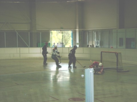 http://www.ratisbona-bullfrogs.de/pixlie/cache/vs_2002_06_15%20-%20Spiel%20gegen%20Hockey%20Monkeys_img05.jpg