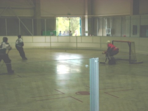http://www.ratisbona-bullfrogs.de/pixlie/cache/vs_2002_06_15%20-%20Spiel%20gegen%20Hockey%20Monkeys_img06.jpg