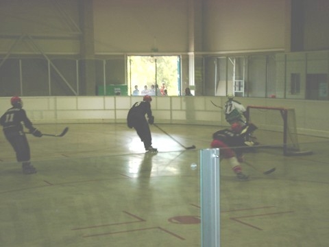 http://www.ratisbona-bullfrogs.de/pixlie/cache/vs_2002_06_15%20-%20Spiel%20gegen%20Hockey%20Monkeys_img10.jpg
