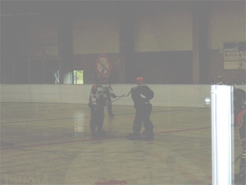 http://www.ratisbona-bullfrogs.de/pixlie/cache/vs_2002_06_29%20-%20Spiel%20gegen%20Rivermen%20Straubing_bf05.jpg