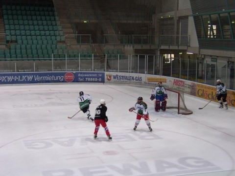 http://www.ratisbona-bullfrogs.de/pixlie/cache/vs_2003_04_05%20-%20Spiel%20gegen%20Hockeymonkeys_P1010040.JPG