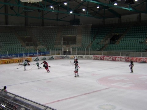 http://www.ratisbona-bullfrogs.de/pixlie/cache/vs_2003_04_05%20-%20Spiel%20gegen%20Hockeymonkeys_P1010044.JPG
