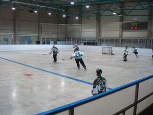 http://www.ratisbona-bullfrogs.de/pixlie/cache/vs_2008_07_05%20-%20Spiel%20gegen%20den%20RSC%20Pillnach_DSC00851.jpg
