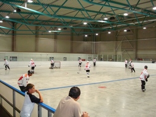 http://www.ratisbona-bullfrogs.de/pixlie/cache/vs_2008_07_05%20-%20Spiel%20gegen%20den%20RSC%20Pillnach_DSC00852.jpg