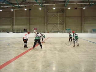 http://www.ratisbona-bullfrogs.de/pixlie/cache/vs_2008_07_05%20-%20Spiel%20gegen%20den%20RSC%20Pillnach_DSC00866.jpg